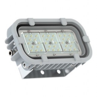 Светодиодный светильник FWL 31-14-850-F15